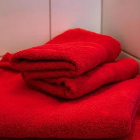 Apartment Ferienwohnung Borchert
